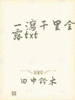 一泻千里金银花露txt