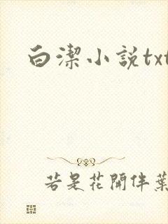 白洁小说txt