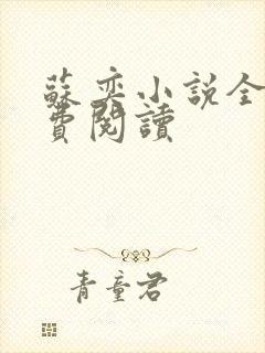 苏奕小说全文免费阅读封面