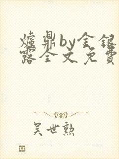 炉鼎by金银花露全文免费阅读笔趣阁