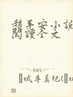 赵平安小说免费阅读全文封面