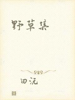 野草集封面
