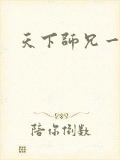 天下师兄一般黑封面