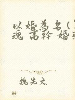 以婚为名 (军魂 高干 婚恋)