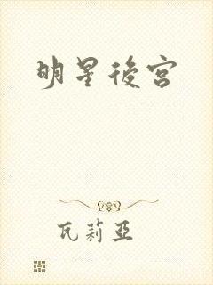 明星后宫