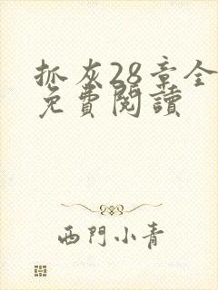 抓灰28章全部免费阅读