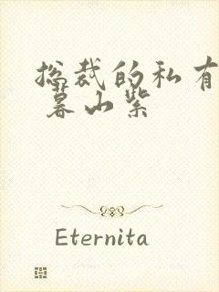 总裁的私有宝贝 暮山紫