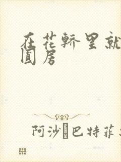 在花轿里就开始圆房封面