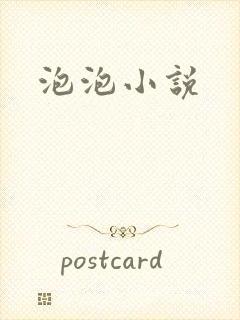 泡泡小说