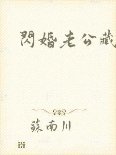 闪婚老公藏不住