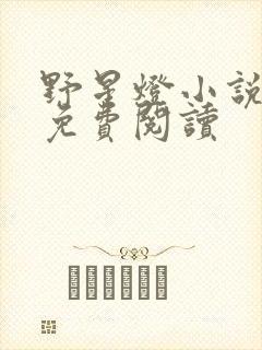 野星灯小说全文免费阅读