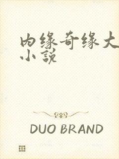 内缘奇缘大团圆小说