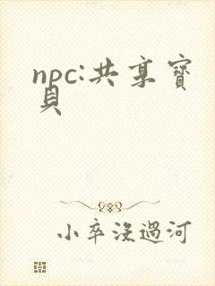 npc:共享宝贝封面