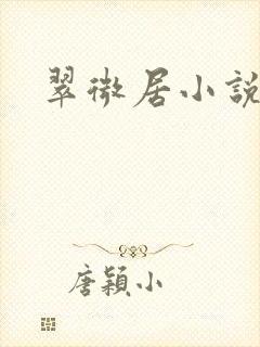 翠微居小说