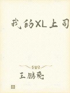 我的XL上司