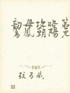 韵母攻略第二部鸾凤朝阳免费阅读封面