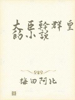 大臣干群皇太后的小说封面