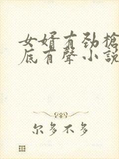 女婿有劲枪枪到底有声小说