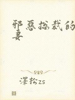 邪恶总裁的娇宠妻