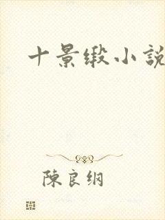 十景缎小说