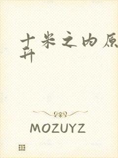 十米之内原地飞升封面