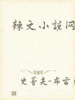 辣文小说网封面