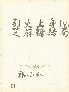 引火上身1v1芝麻糖结局封面