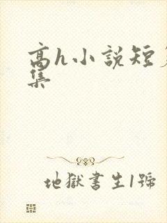 高h小说短篇合集封面
