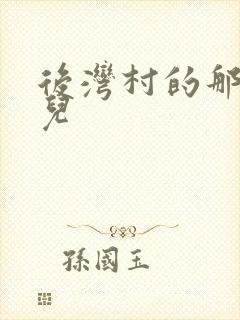 后湾村的那些事儿封面