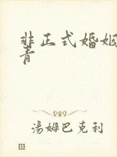 非正式婚姻雾里青