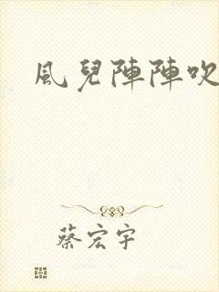 风儿阵阵吹封面
