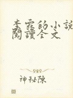 李霖的小说免费阅读全文