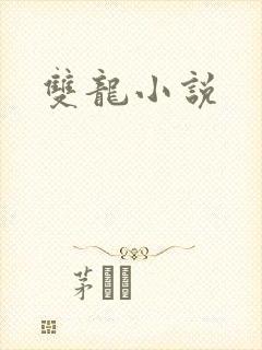 双龙小说