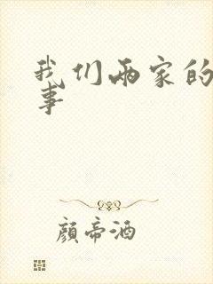 我们两家的荒唐事封面