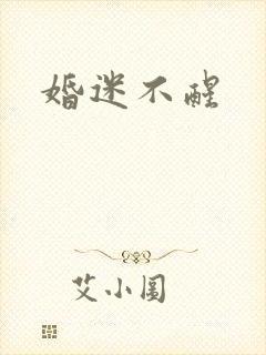 婚迷不醒封面