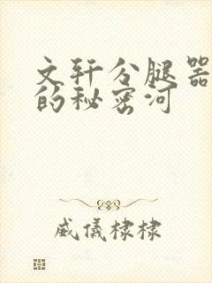 文轩分腿器河马的秘密河