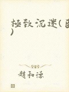 极致沉迷(臣年)封面