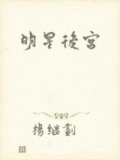 明星后宫