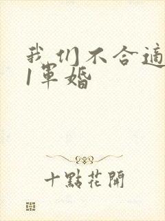 我们不合适1v1军婚