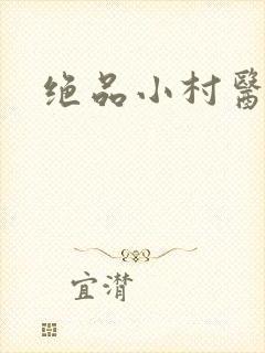 绝品小村医封面