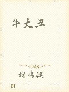 牛大丑封面