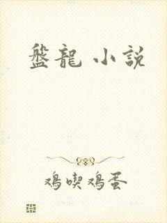 盘龙 小说封面