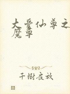 大爱仙尊之邪淫魔尊