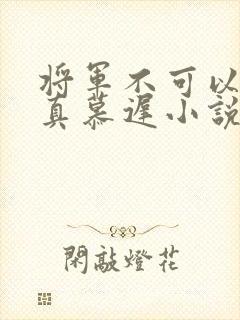 将军不可以魏云真慕迟小说笔趣阁封面