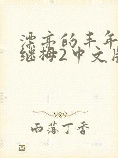 漂亮的丰年经的继拇2中文版