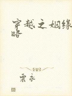 穿越之姻缘劫攻略封面