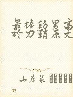 最棒的男高中生于刀鞘原文阅读