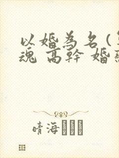 以婚为名 (军魂 高干 婚恋)