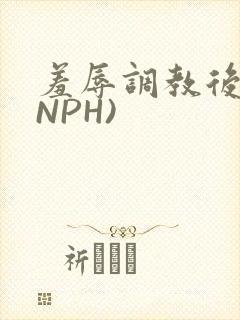 羞辱调教后宫(NPH)封面