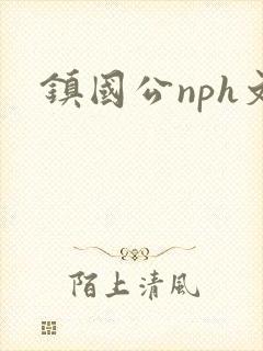 镇国公nph文封面